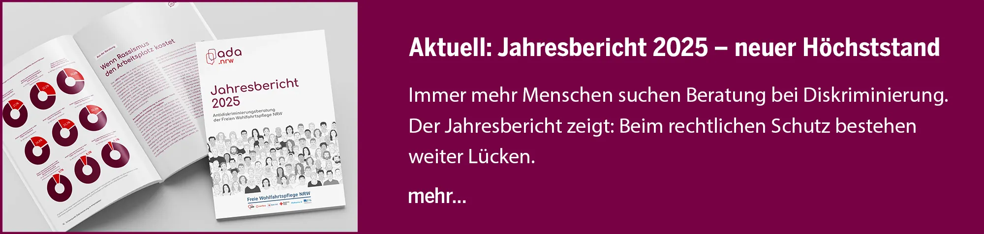 Jahresbericht 2025